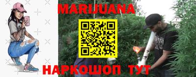 индика Гай