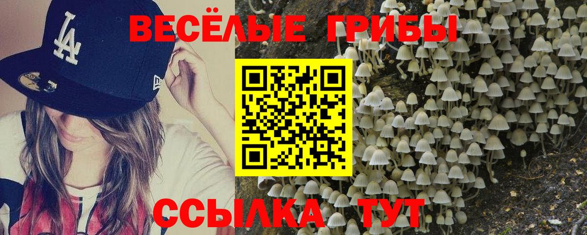 Псилоцибиновые грибы MAGIC MUSHROOMS  Вход с VPN  Нижневартовск 